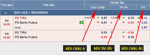 Kèo Châu Á vs Kèo Châu Âu Là Gì?